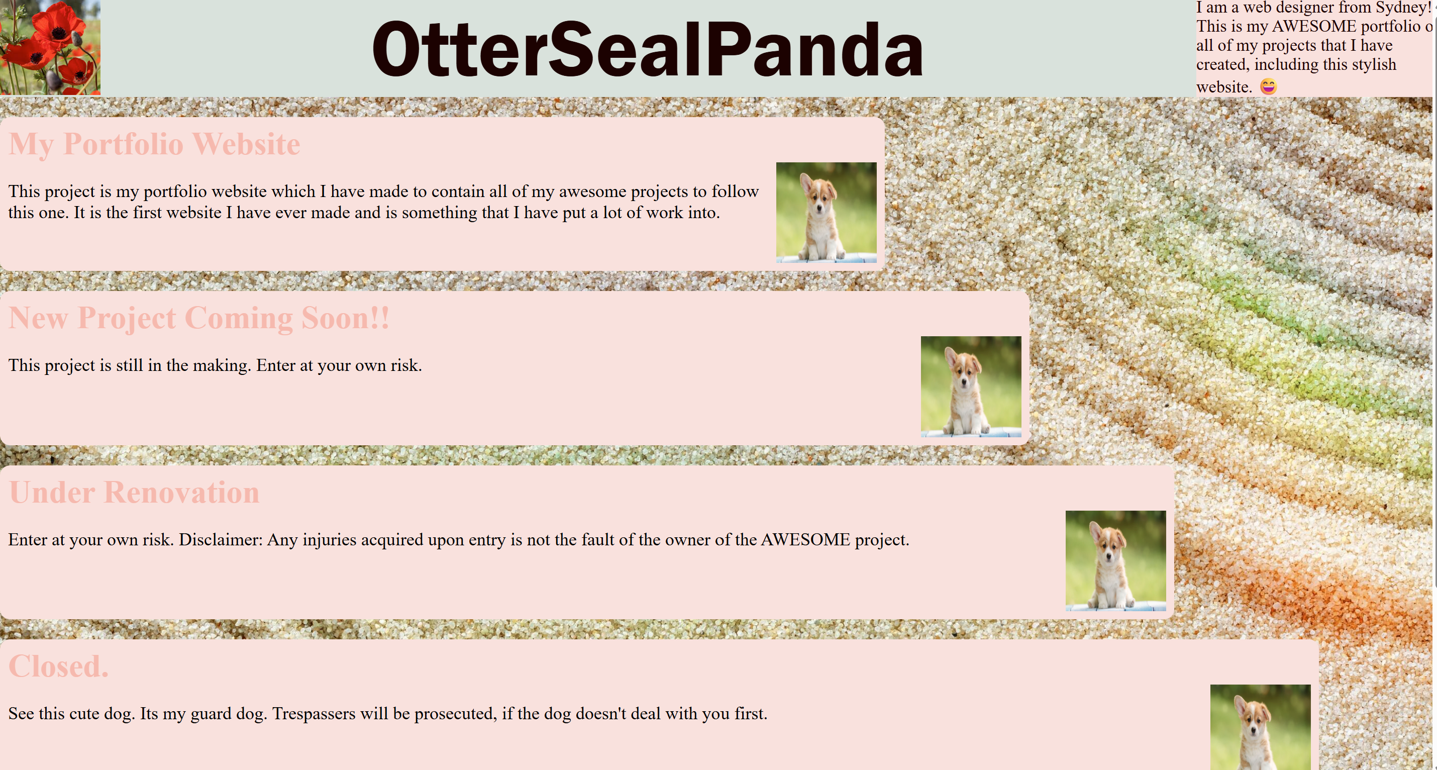 Photo of the website you are currently on.